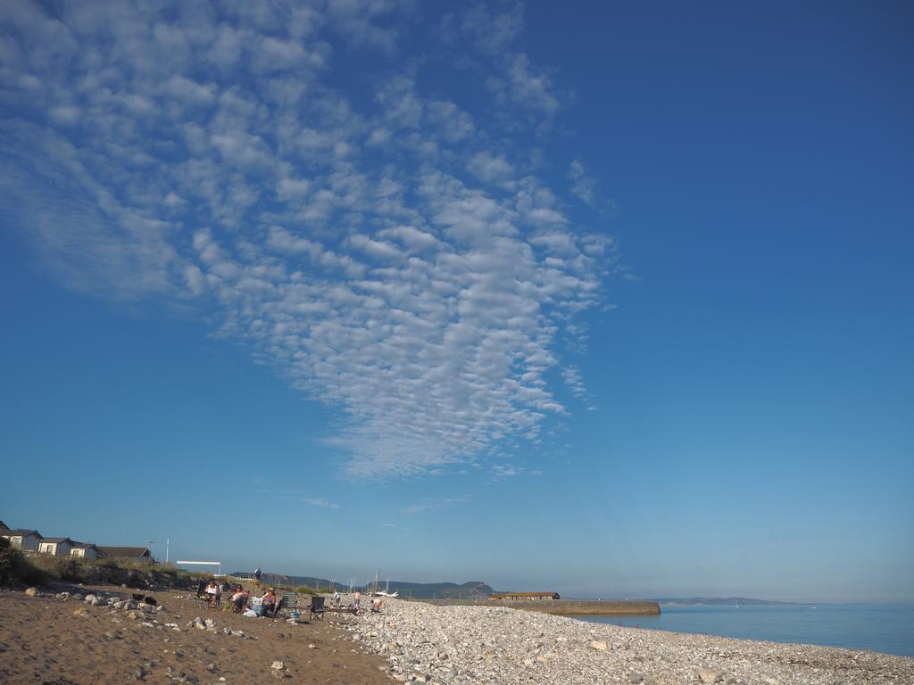 Dorset House Bed and Breakfast Λάιμ Ρέγκις Εξωτερικό φωτογραφία