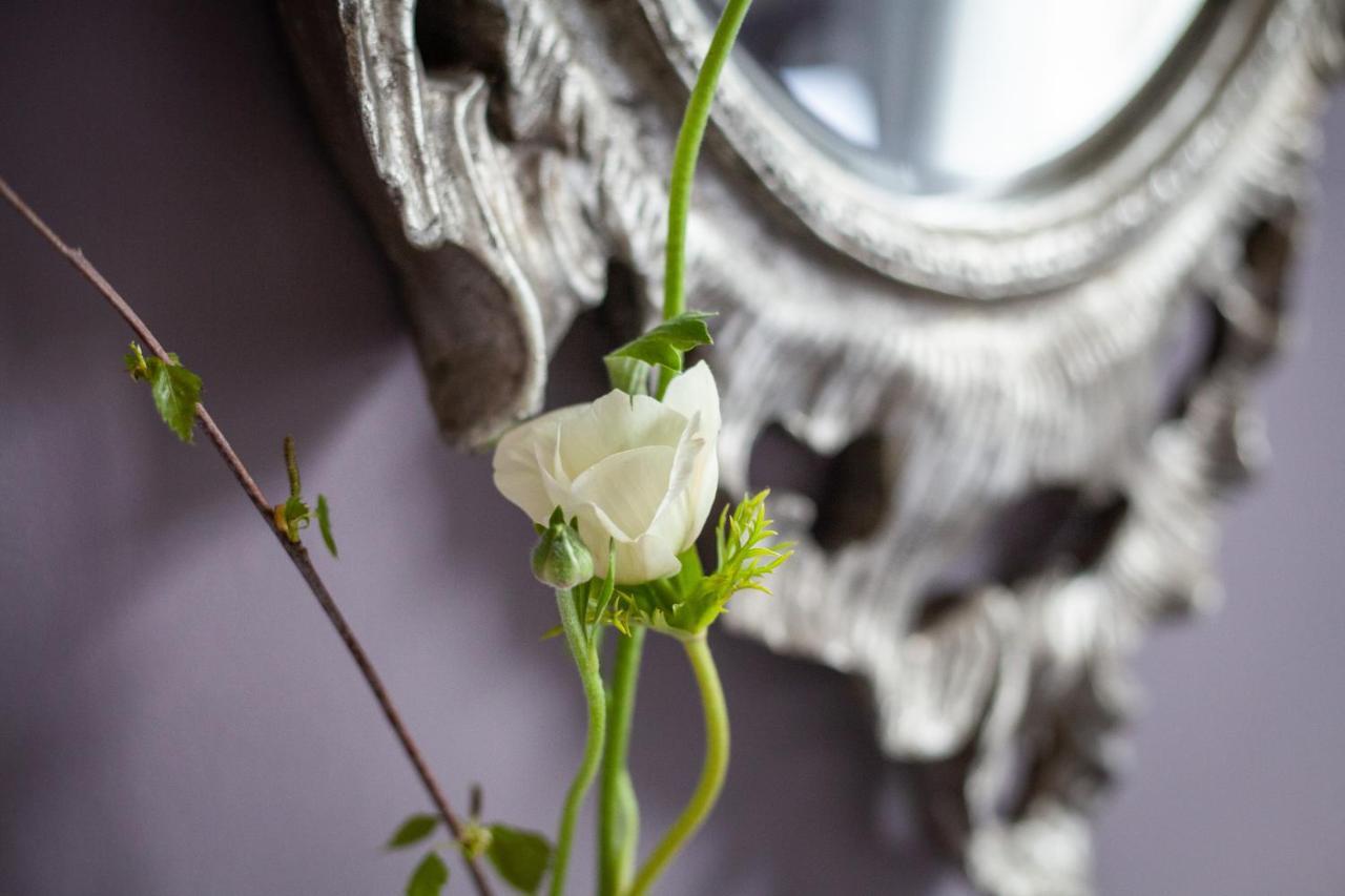 Dorset House Bed and Breakfast Λάιμ Ρέγκις Εξωτερικό φωτογραφία